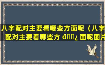 八字配对主要看哪些方面呢（八字配对主要看哪些方 🌿 面呢图片）